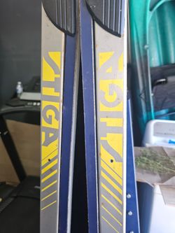 Ping Pong Table