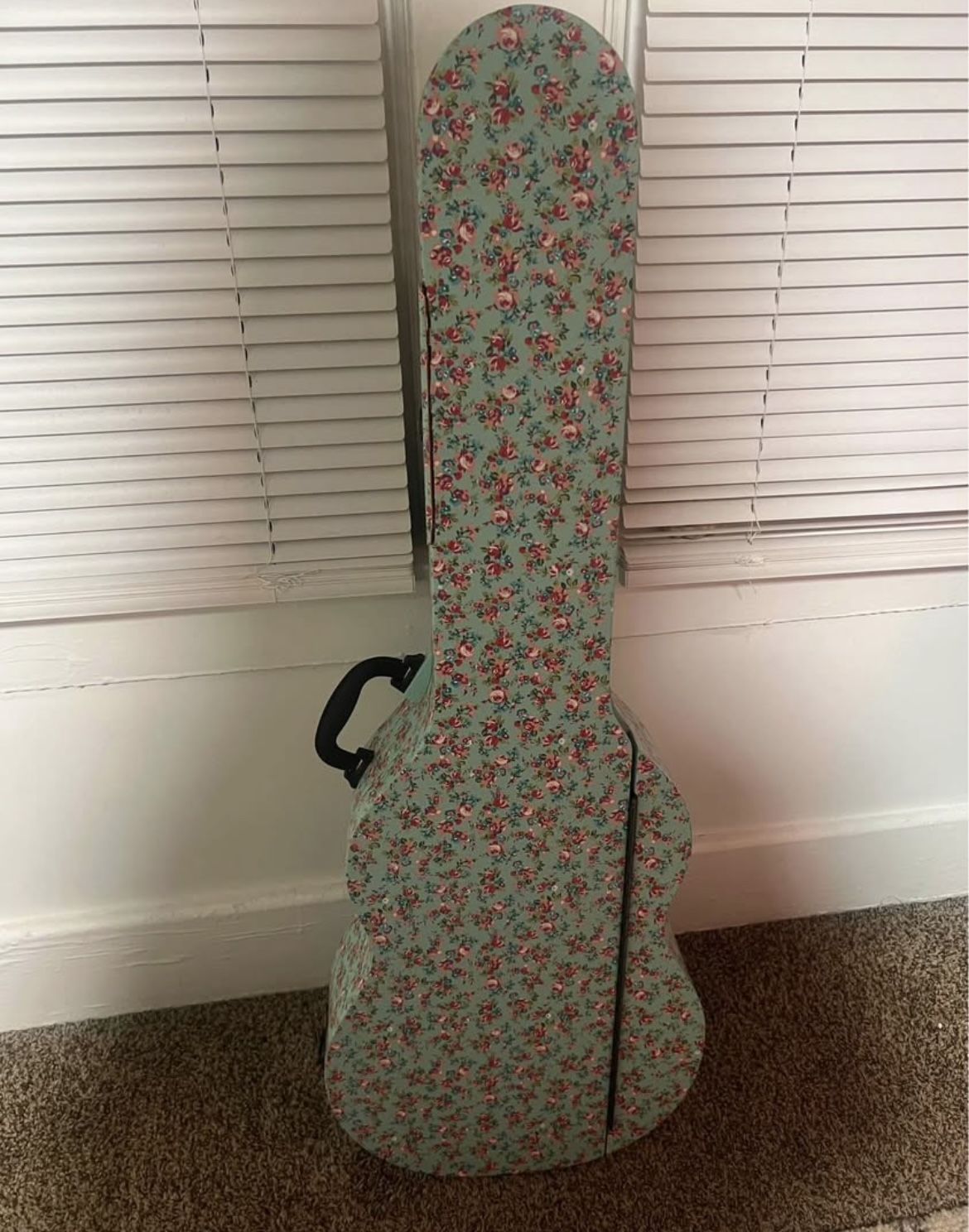Pb Teen junk Gypsy guitar jewelry case