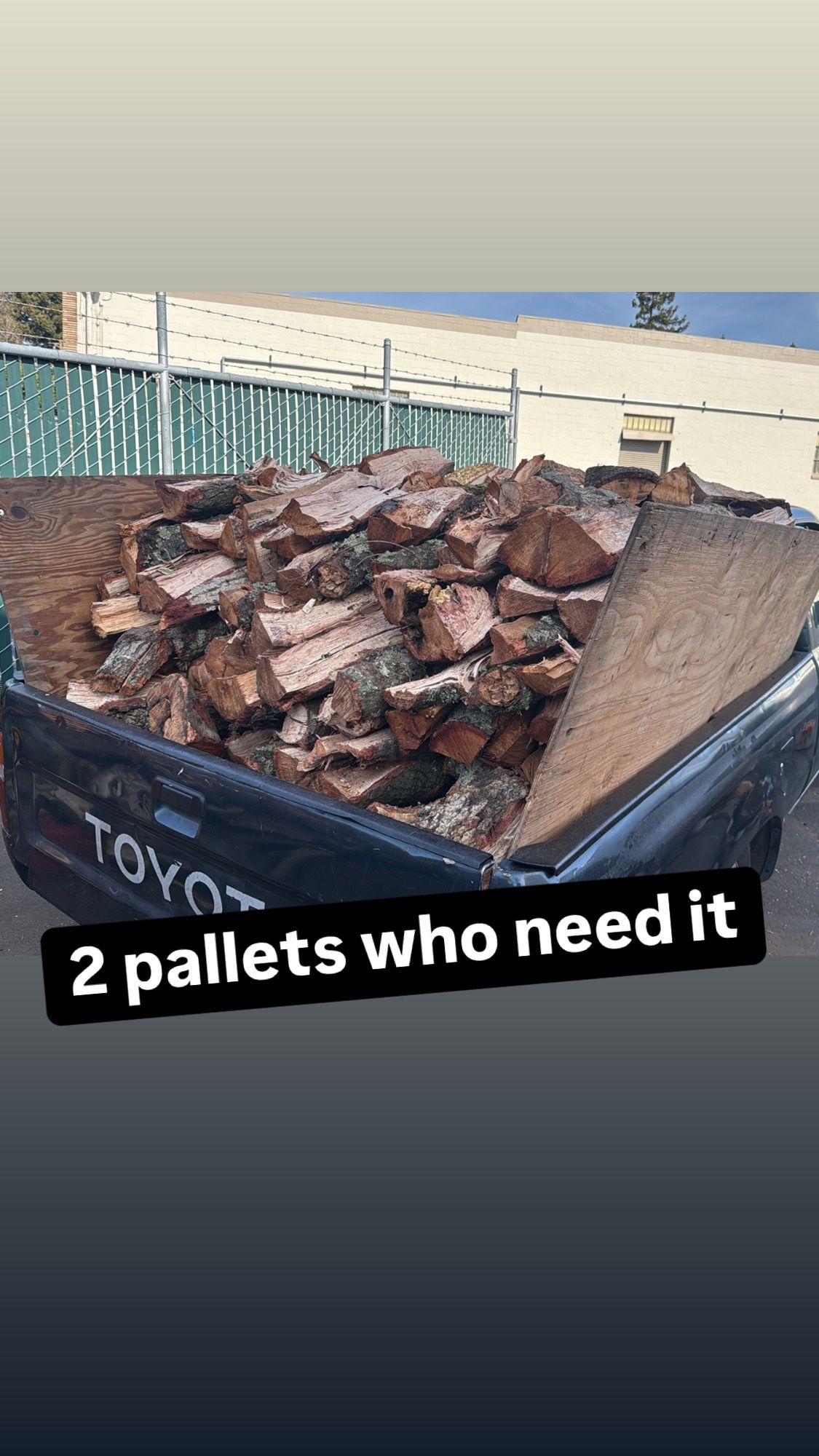 Oak. Fresh Not Dry