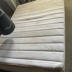 Free Latex Mattress