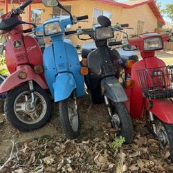 Vintage Honda Spree