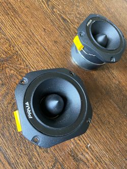 Car audio tweeter’s