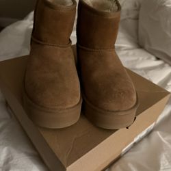 Mini Platform Uggs 