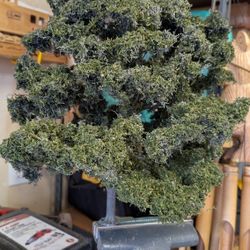 Diorama Realistic Trees