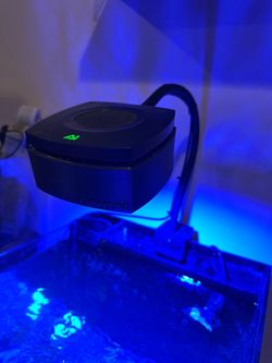 Aquaillumination prime aquarium light