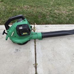 GAS Leaf Blower in GREAT working condition!