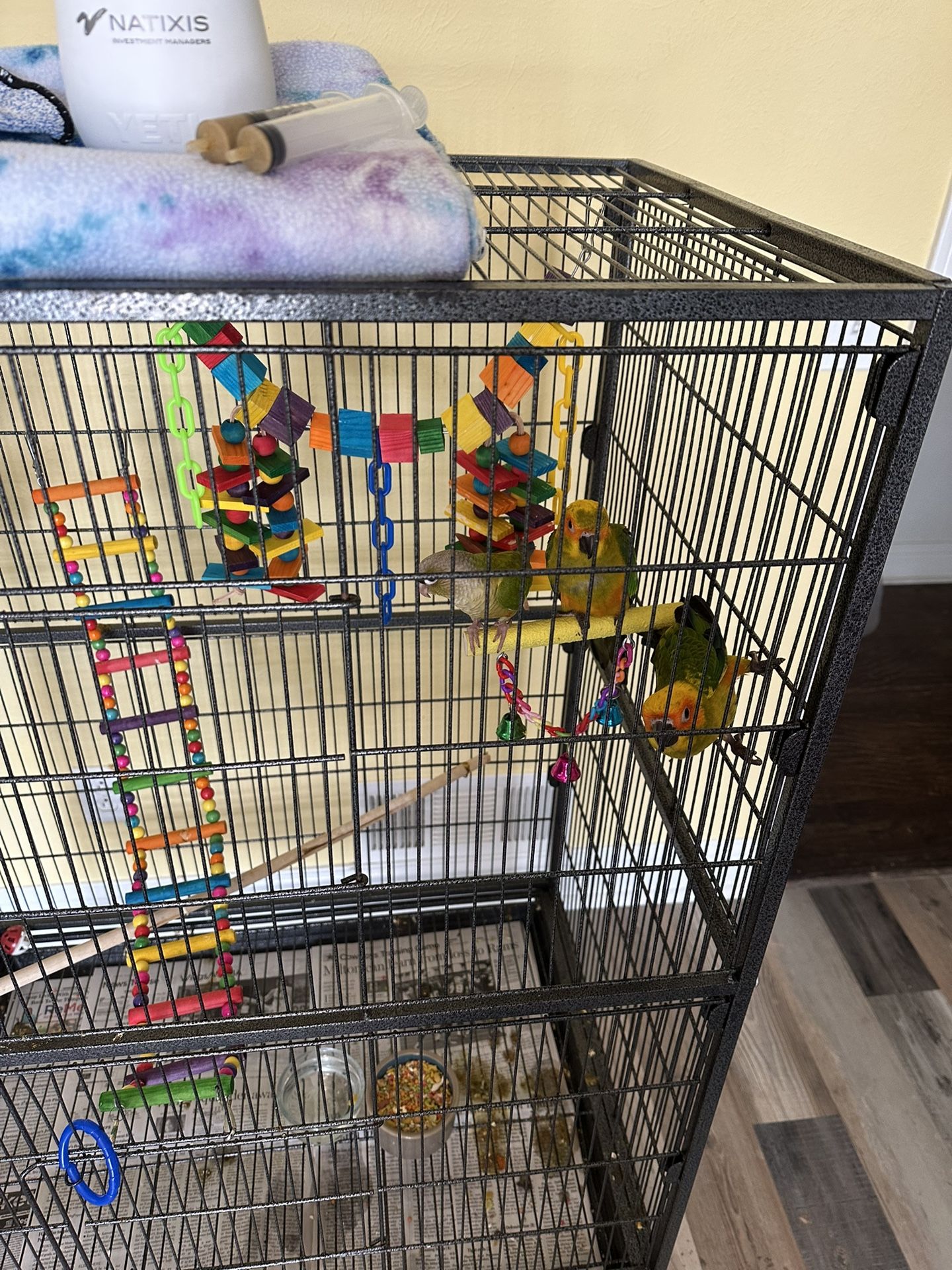 Bird Cages/Conure