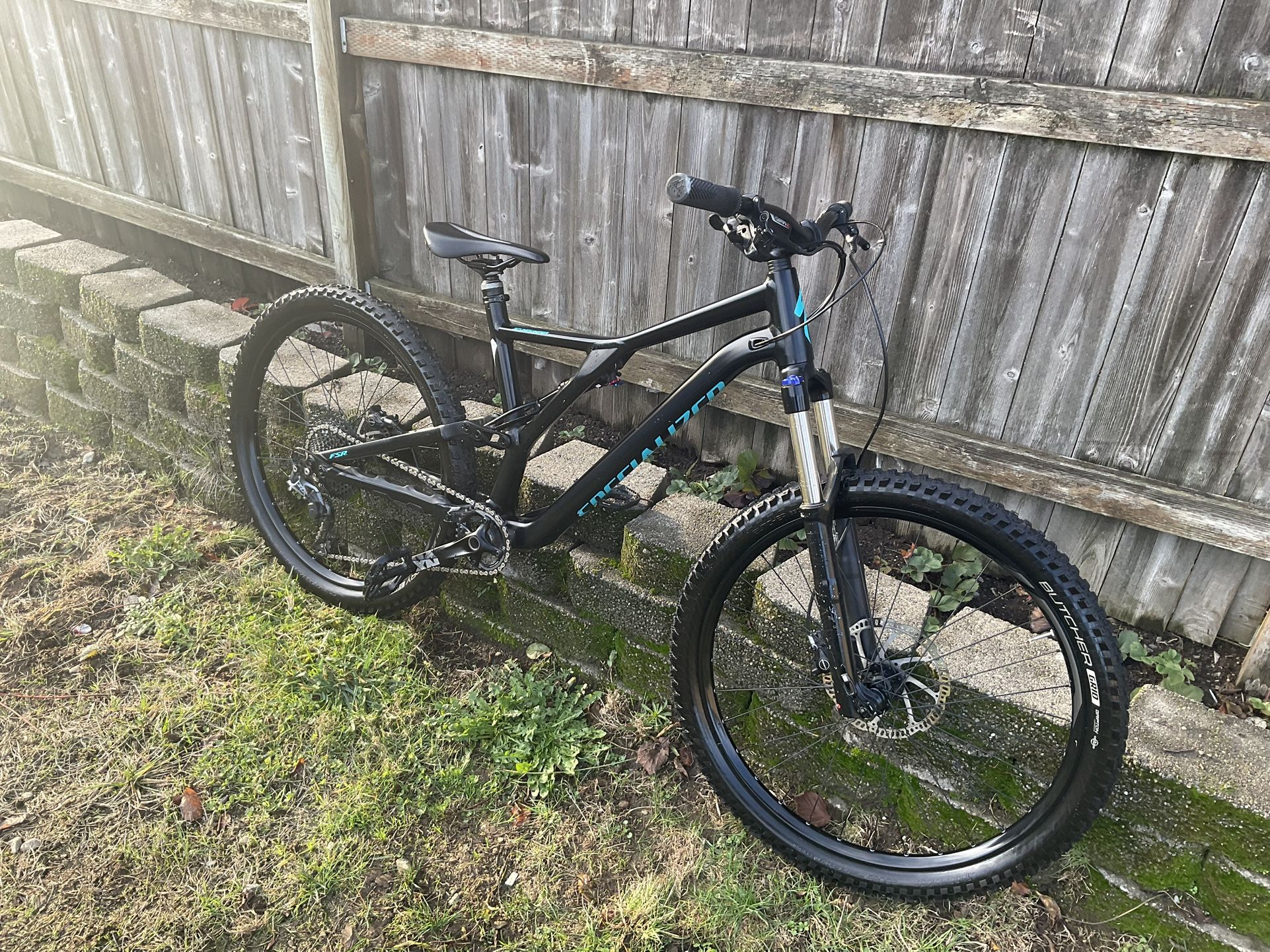 2019 specialized stumpjumper