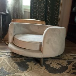 Beautiful Cat Or Dog Couch 