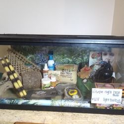 Aquarium 40 Gallon with Lizard Supplies