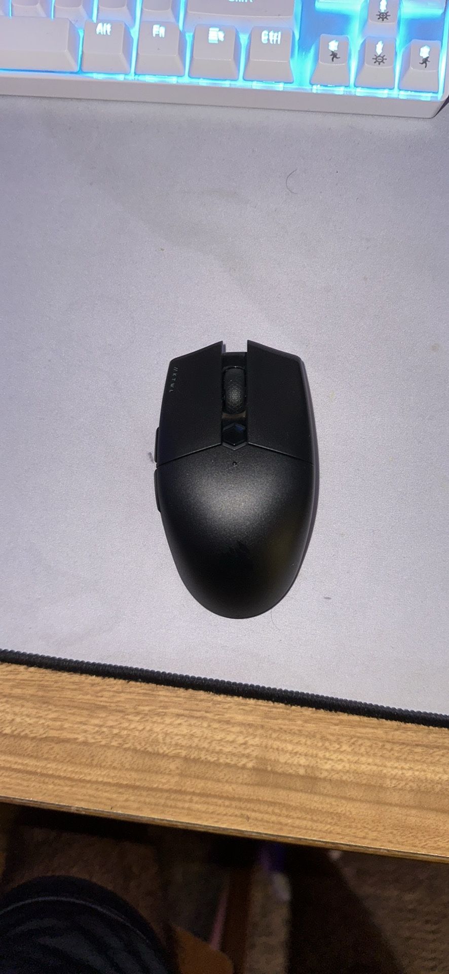 Mouse