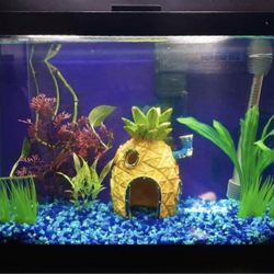 Bikini👙Beach Theme 10Gal Aquarium, Stand, alll Needed Accessories. Pecera de Bob Esponja completa.