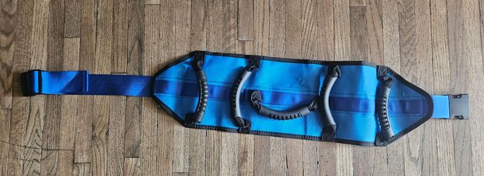 NEW SET OF 2 BLUE AND BLACK BELT TRANSFER