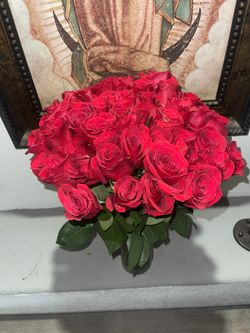 Roses