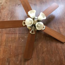 Fan Light