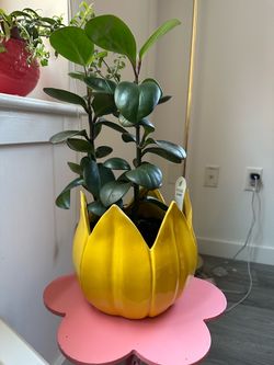 Yellow Ceramic Lotus Flower Planter Pot
