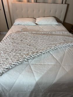 Cama
