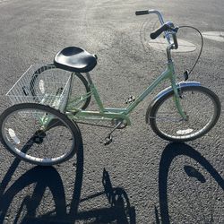 3 Wheel Bicycle 