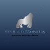APEX JUNK CONNOISSEURS 