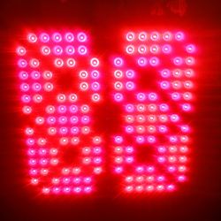 REDjuvenator Biophotonic Light