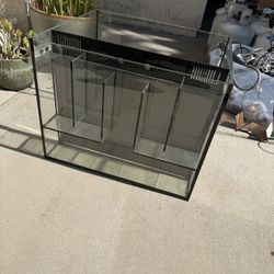 AIO Fish Tank