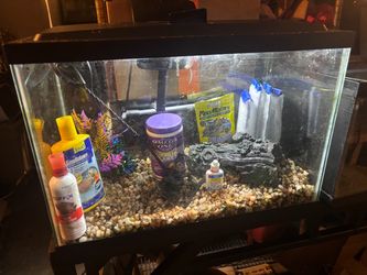 29 gallon aquarium and accessories