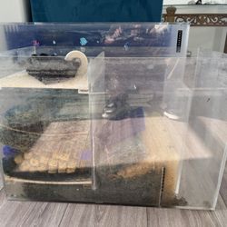Fish Tank 