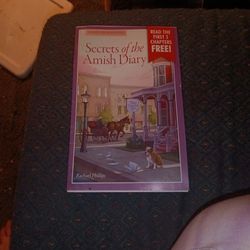 Secrets Of Amish Diary Book