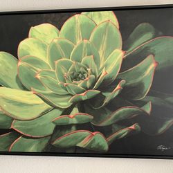 Succulent Wall Print