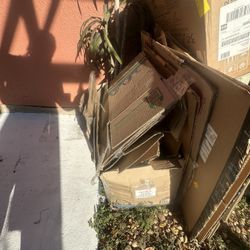 Free Cardboard Some In Good Usable Condition.