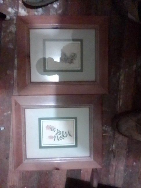 Decorative Flower Pictures