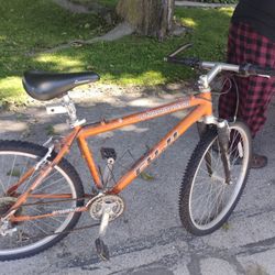 Diamond Back Fuji Bike 
