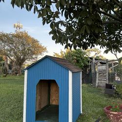 Dog House 