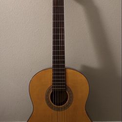 Acoustic Guitar   
