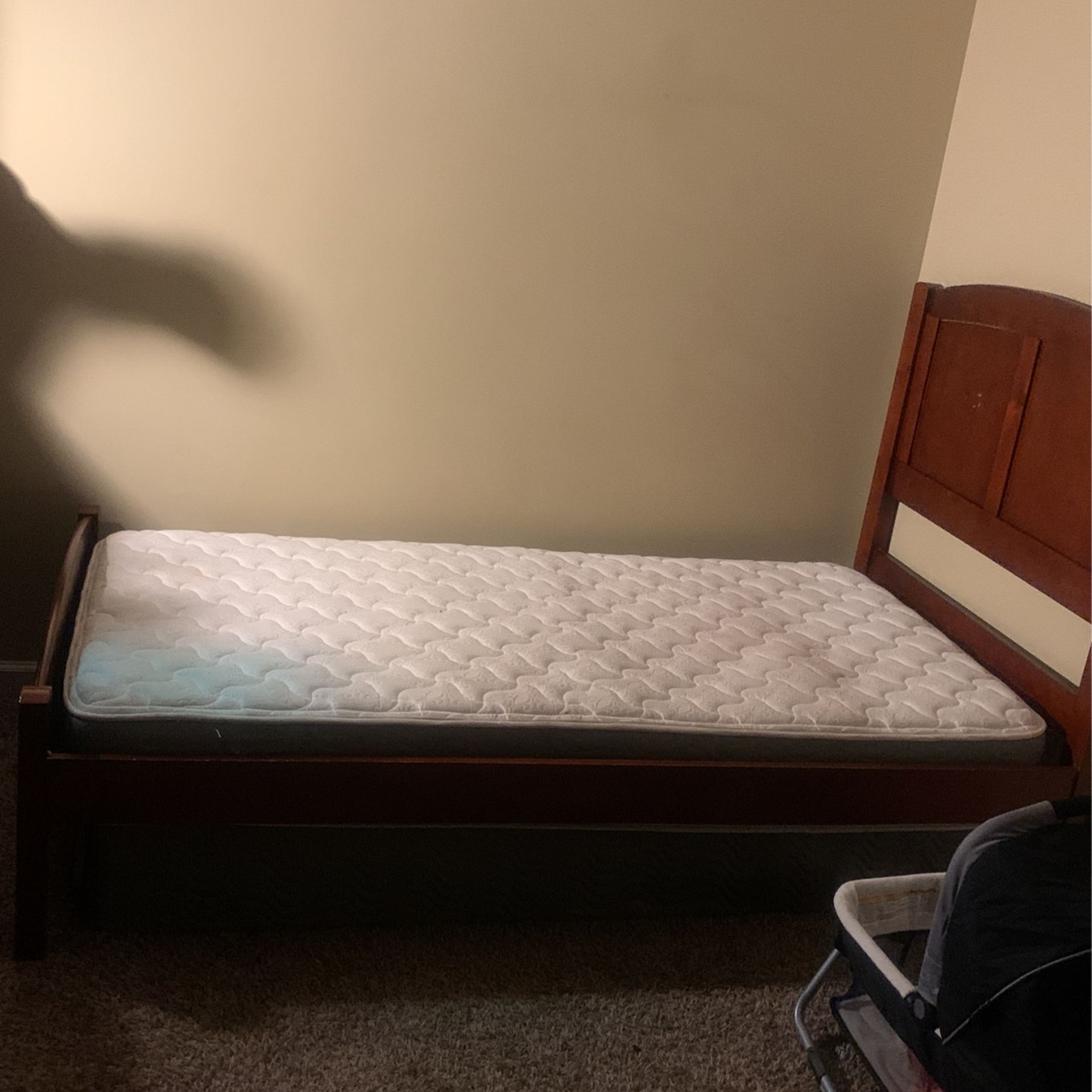 Twin Bed , Box Spring,  & Frame