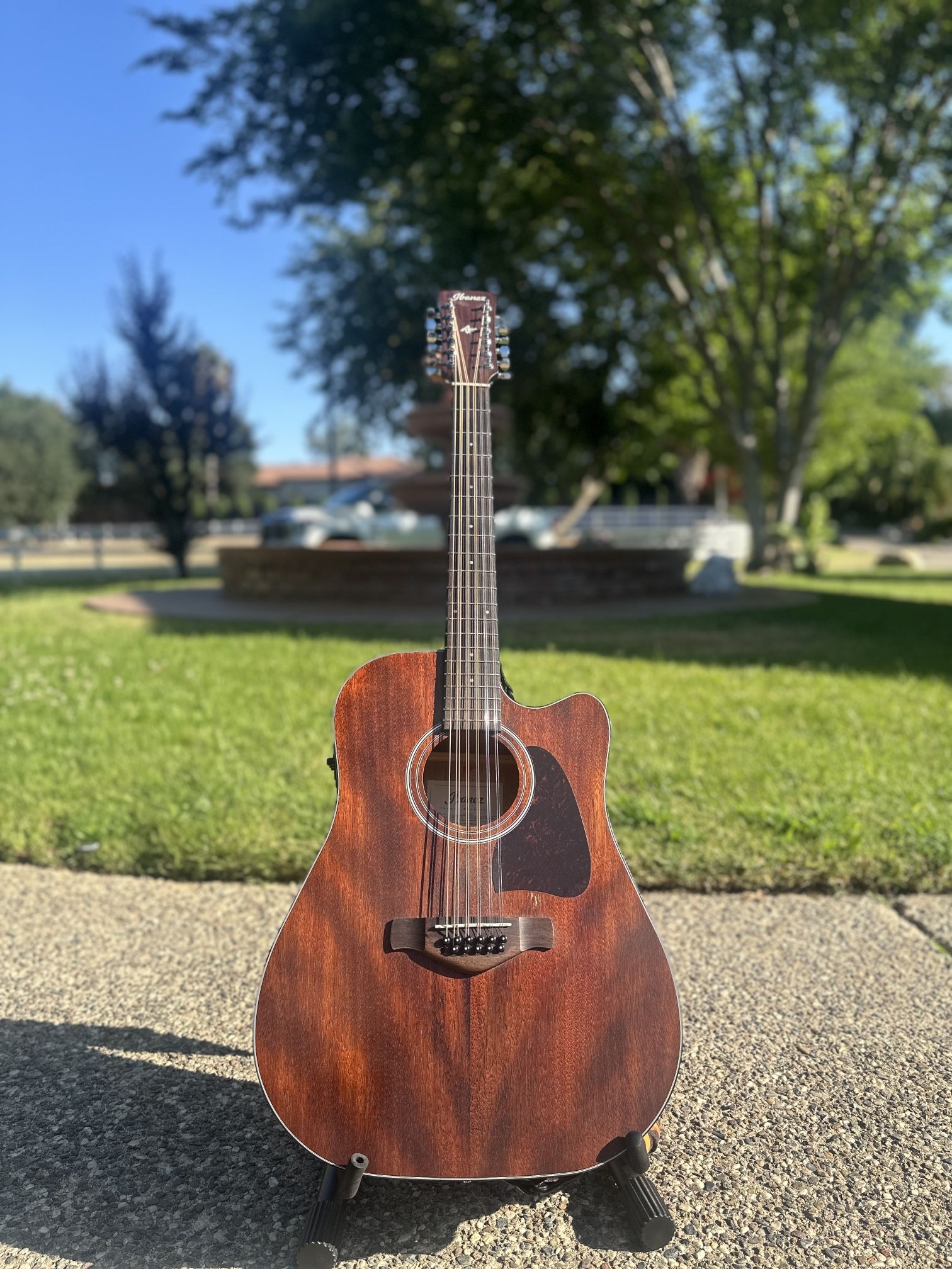 12 String Ibanez