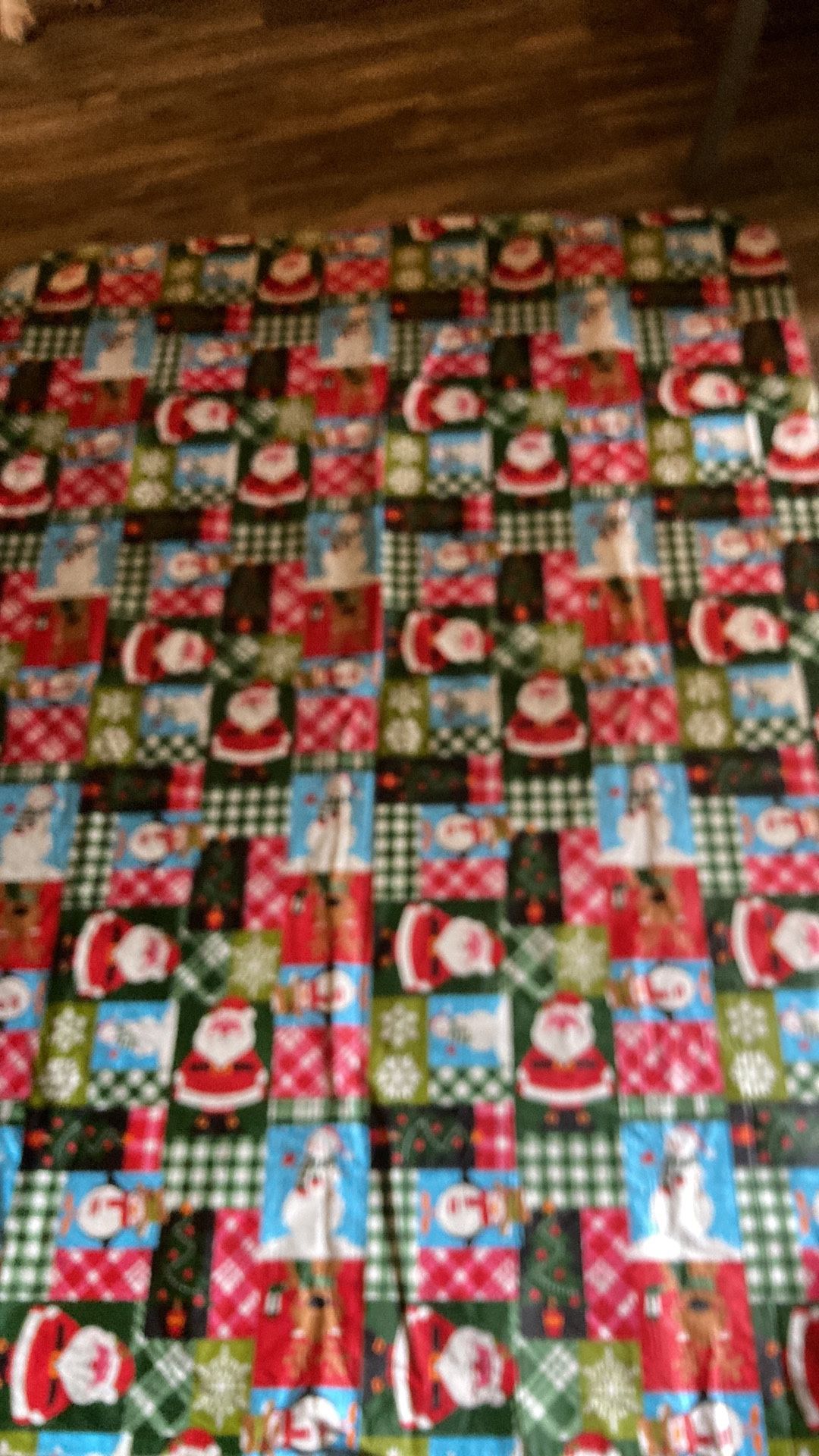 Tablecloth plastic Christmas