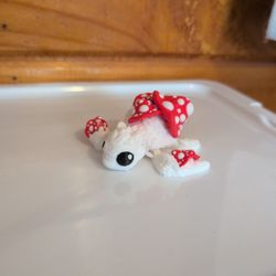 Cinderwing Mushroom Turtle 