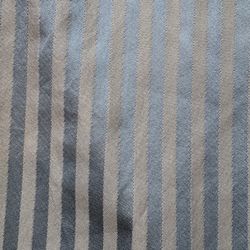 Long Silk Accent Curtain $5