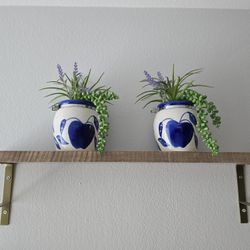 $10 Assorted House Decor Plants