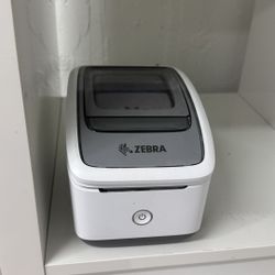 Zebra ZSB Label Printer