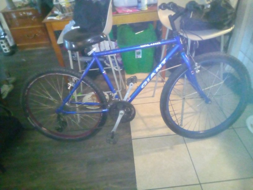 Blue Upland GIANT Bike
