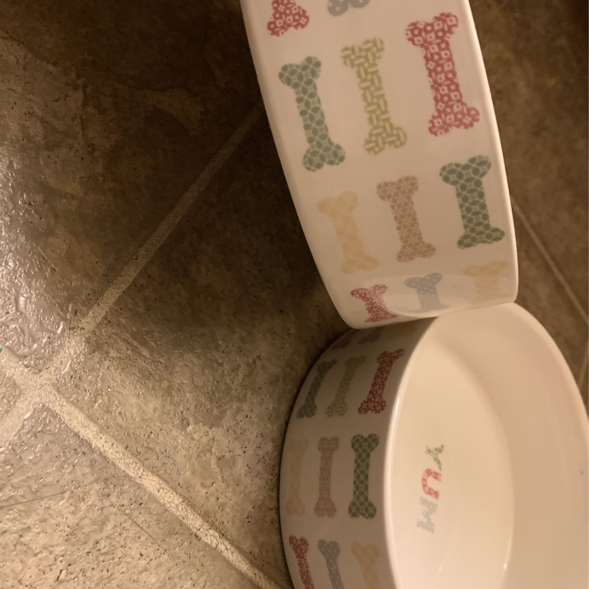 Dog Bowl