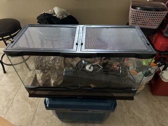 Reptiles Tank
