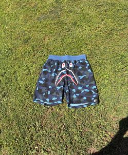 BAPE-DM ME