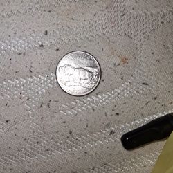 Rare Coin 