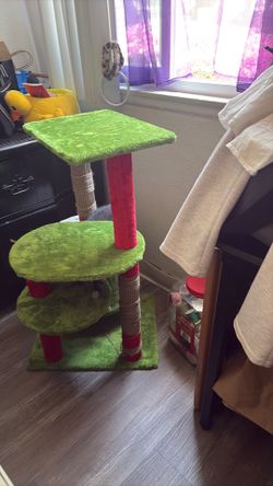 Casita de gato