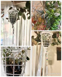 Hand Painted White Lantern w/ Faux Succulents & Fairy Lights