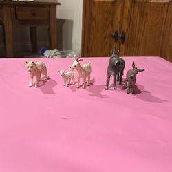North American Animal Pack
