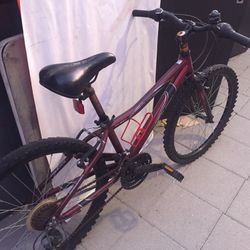 Raleigh Boys 24” Mountain Bike